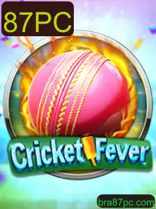 Descubra o Mundo do Jogo 'CricketFever 87PC': Introdução e Regras